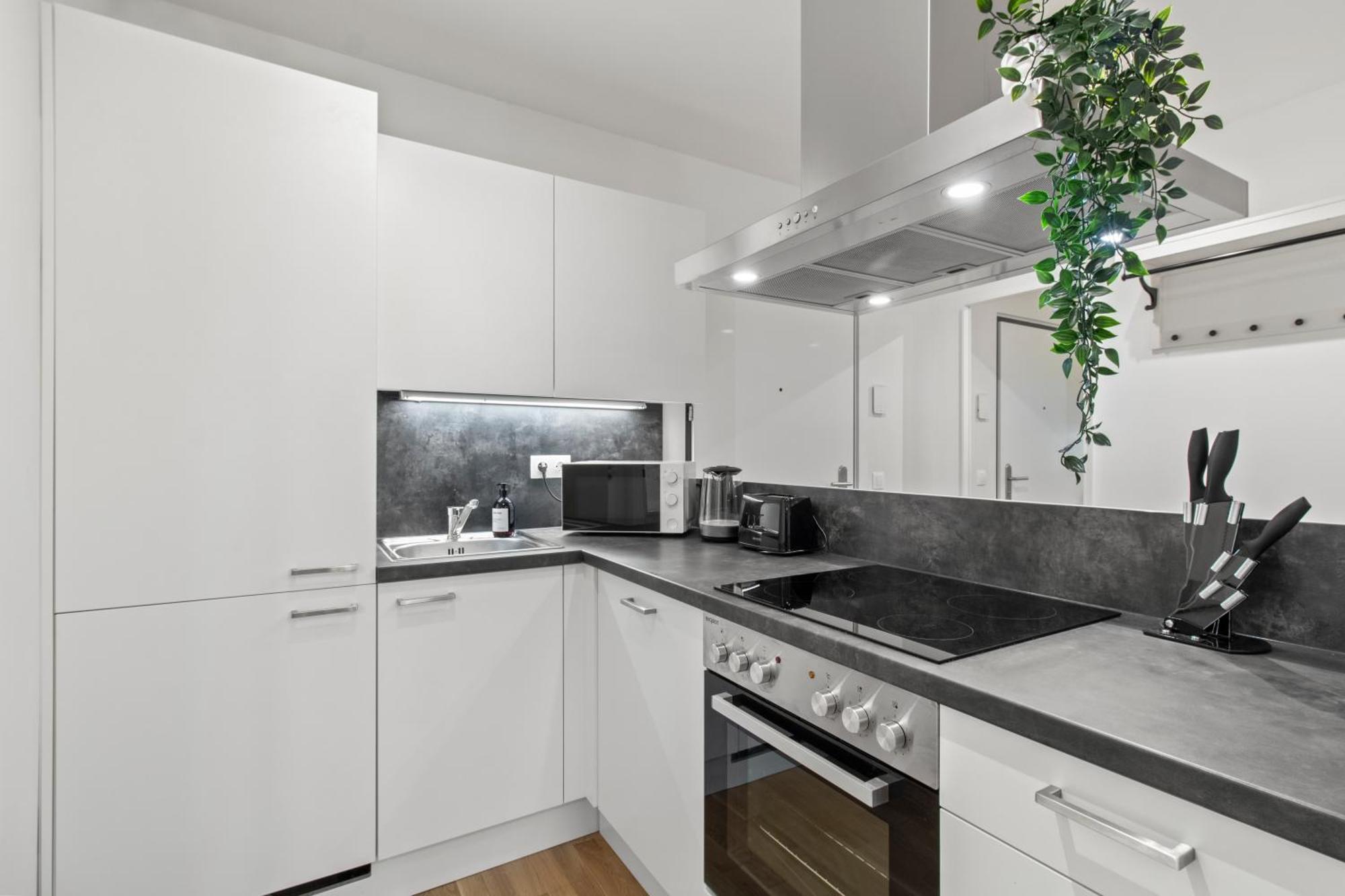 Balcony Apartment I 50 M² I Near City Center Viena Exterior foto